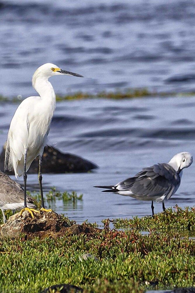Photograph by Luisa Martina Hernández