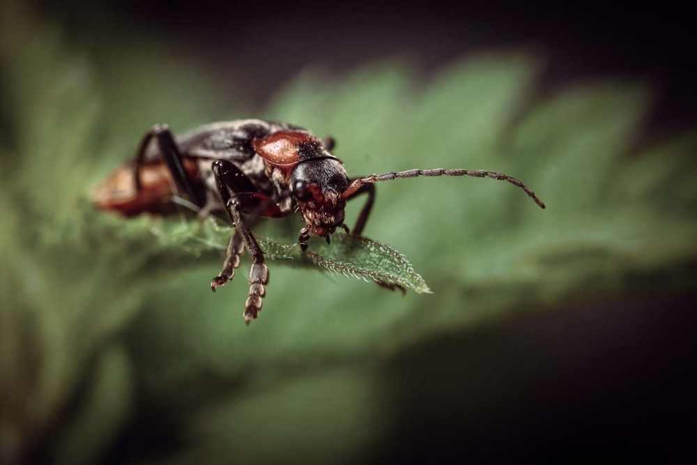 Фотография автора Сергей Назаредский