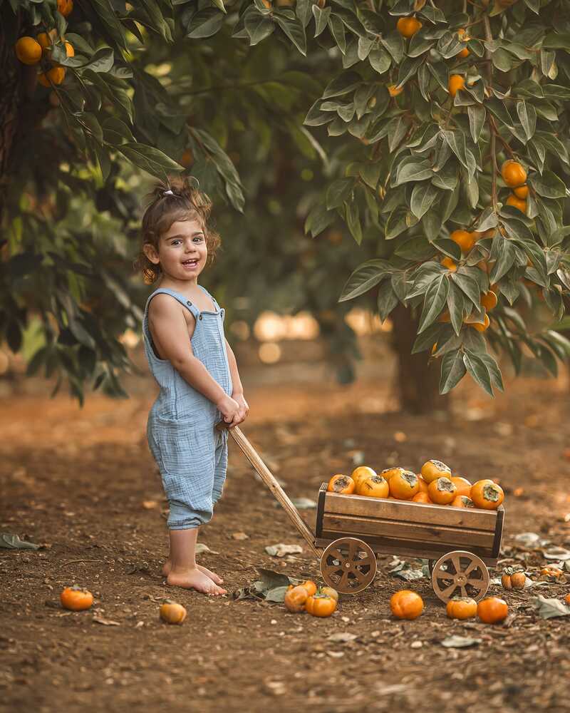 Photograph by Maayan Levi