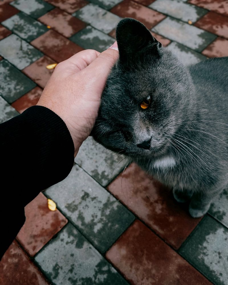 Photograph by Сергей Удовиченко