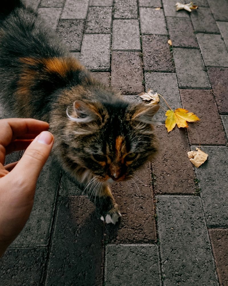 Photograph by Сергей Удовиченко