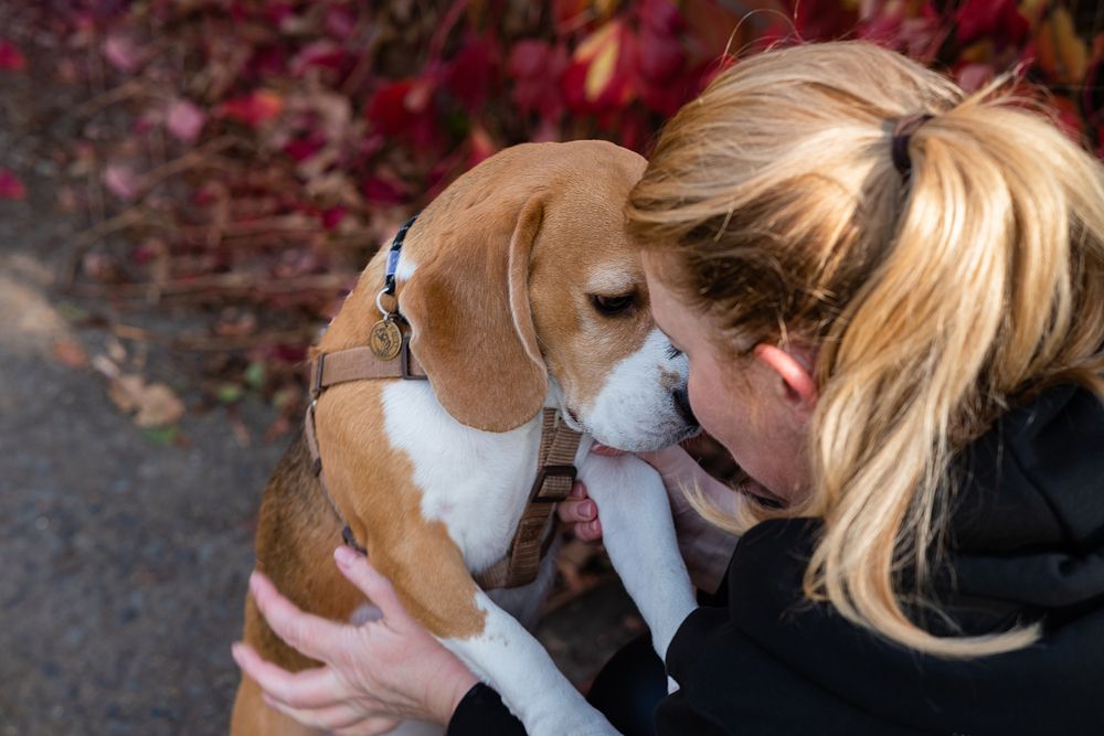 Photograph by Светлана Вербицкая