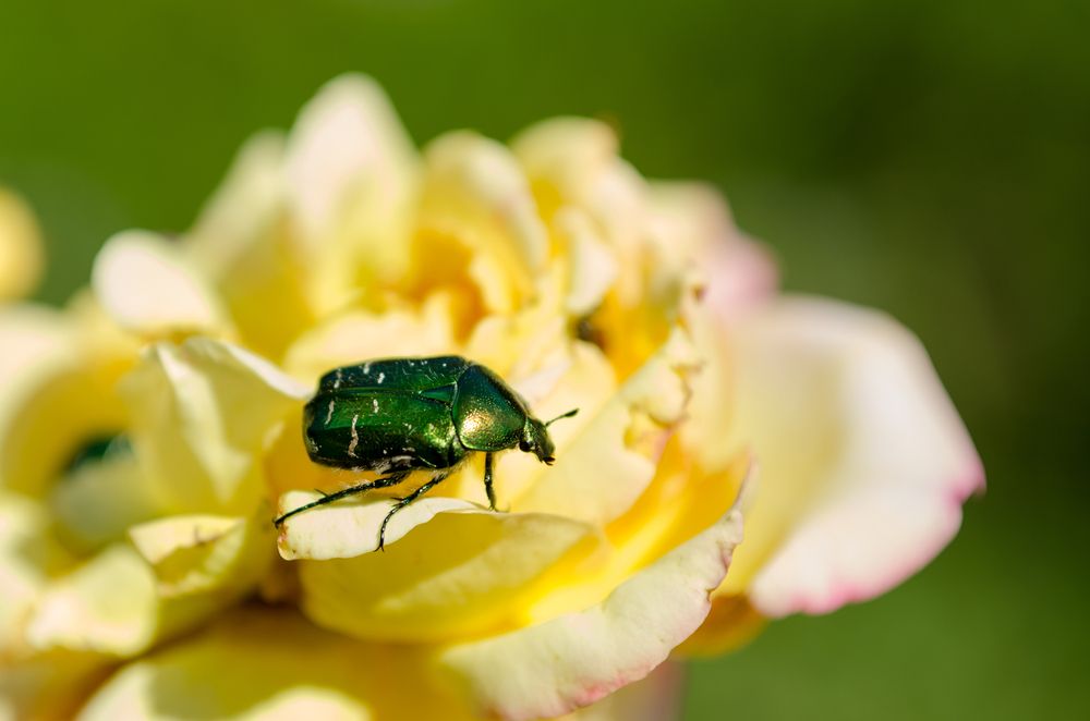 Photograph by Андрей Федоров