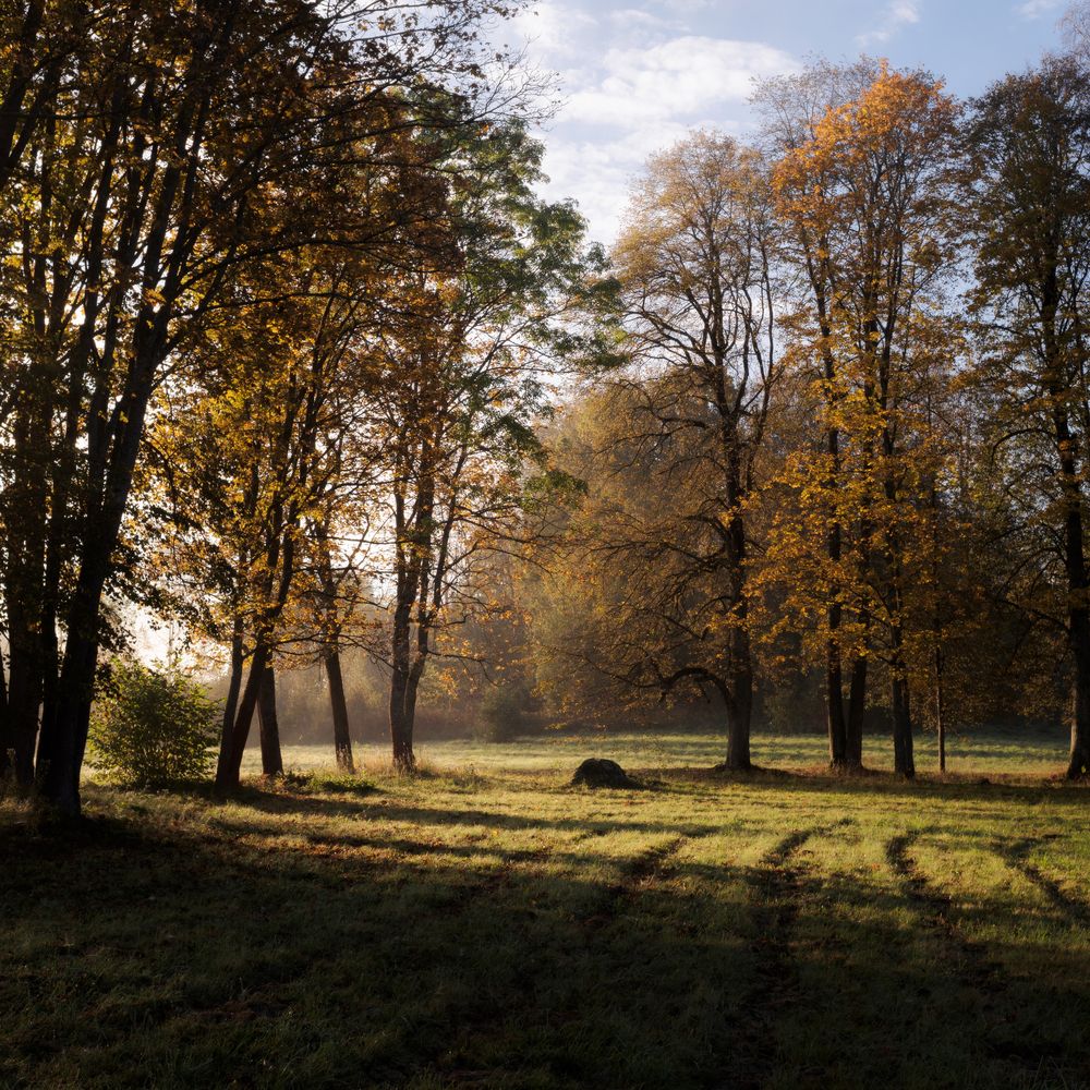 Photograph by Врубель Андрей