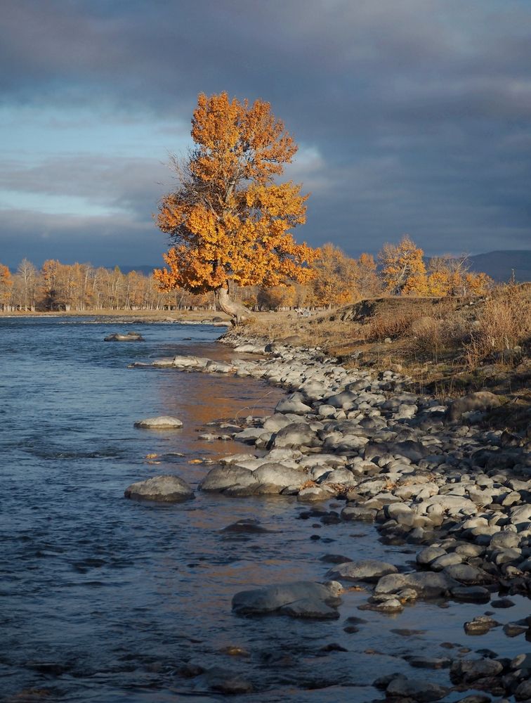 Фотография автора Яковлев Евгений