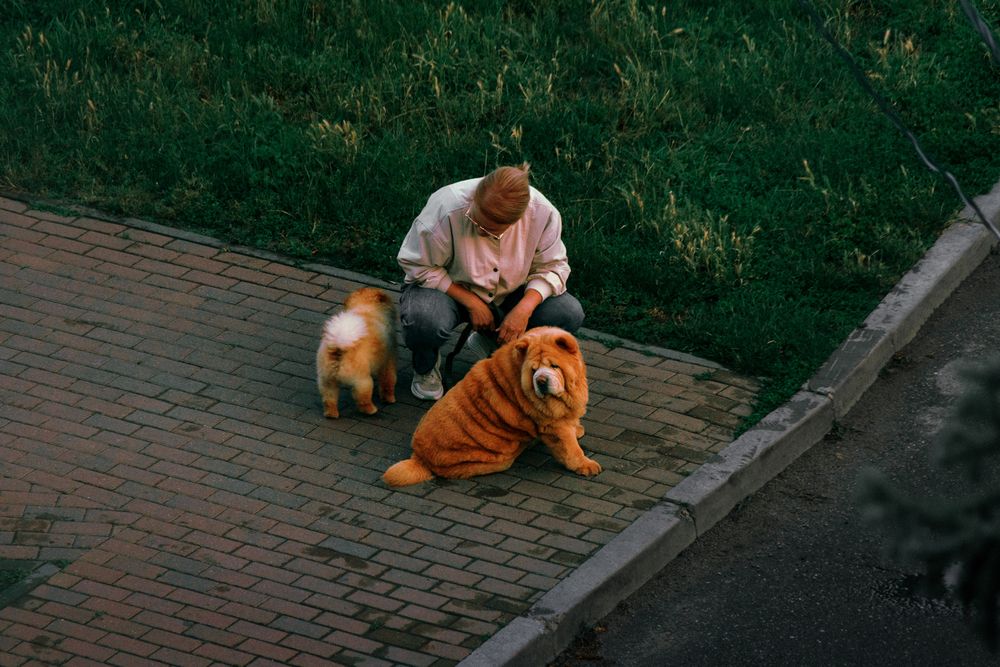 Photograph by Сергей Удовиченко