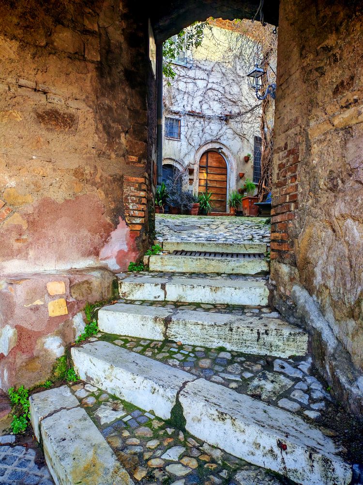Фотография автора Максимова Дария