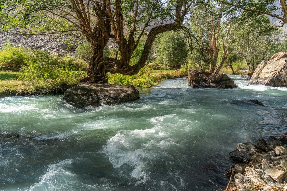 Фотография автора Юлия Есина