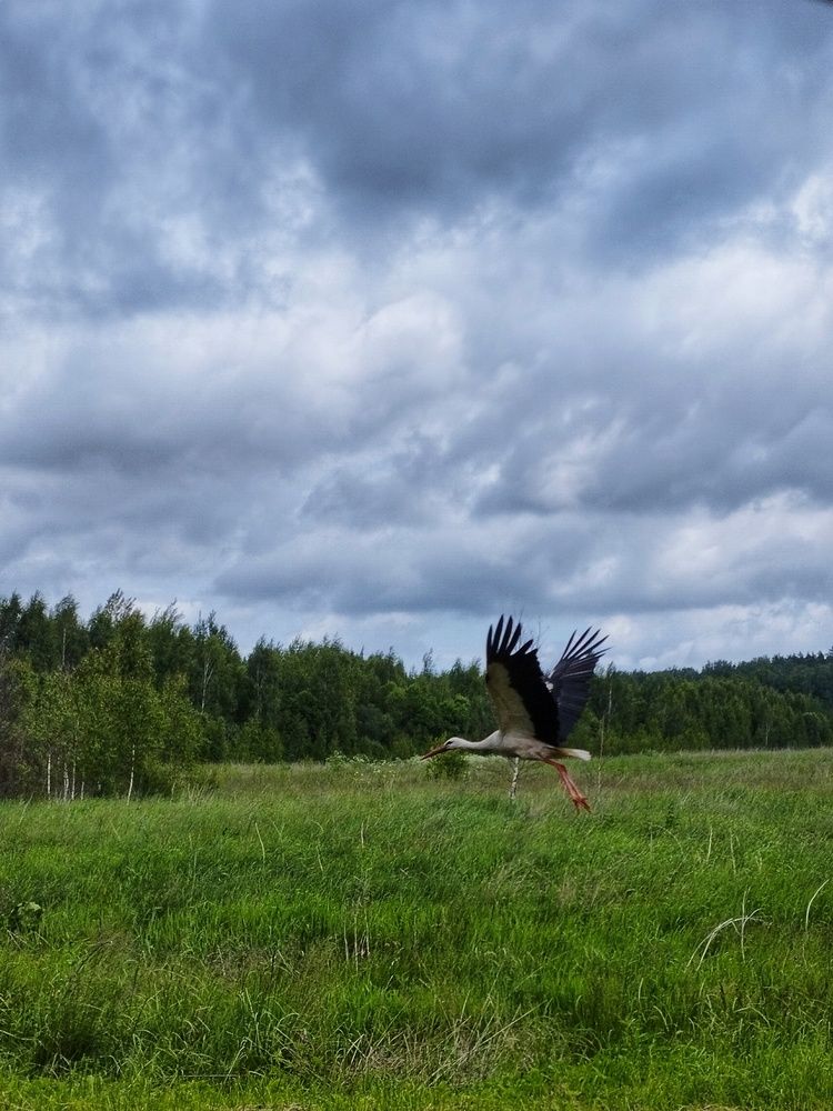 Photograph by Ия Дирко