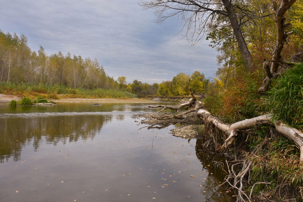 Photograph by Валентина Воробьёва