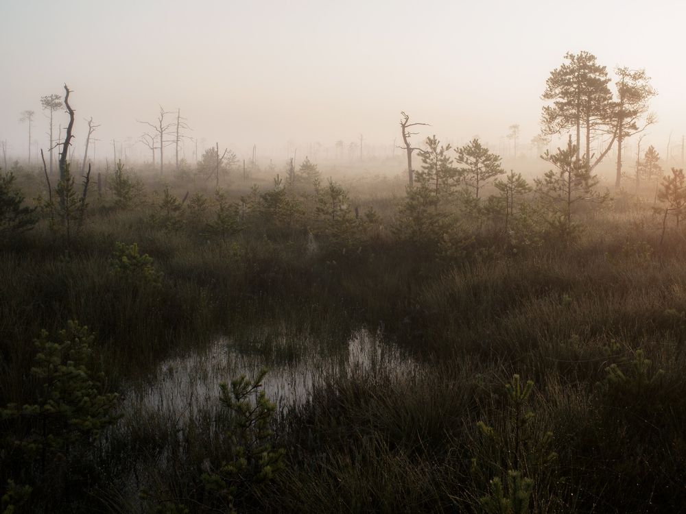 Photograph by Врубель Андрей