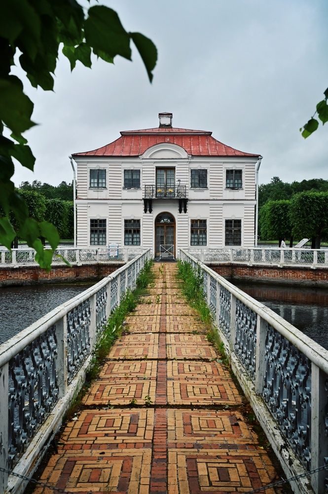 Фотография автора Никита Русецкий