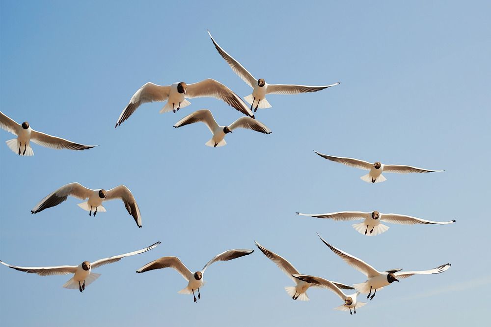 Photograph by Дарья