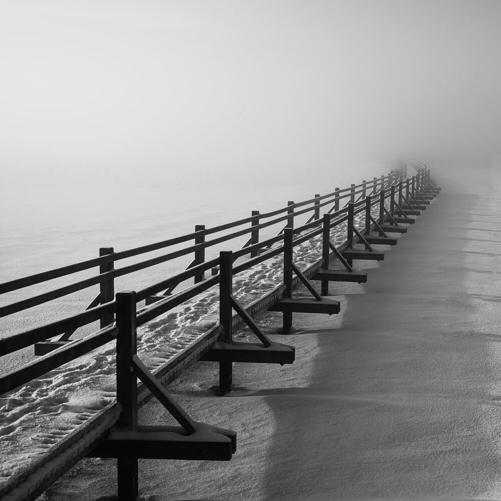 Фотография автора Janis Serdienis