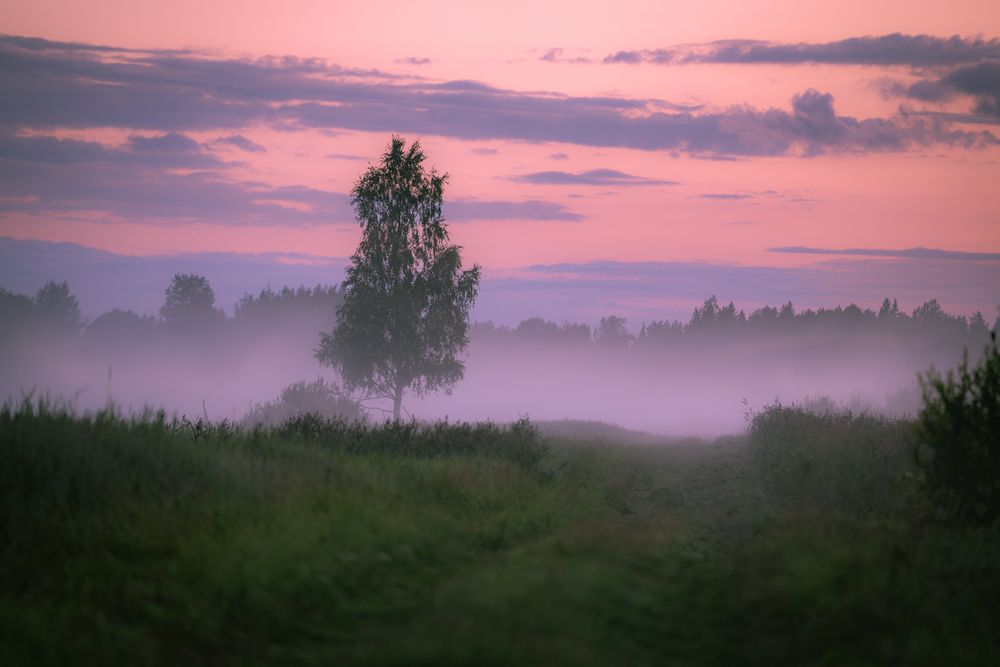 Photograph by Romus Ramström