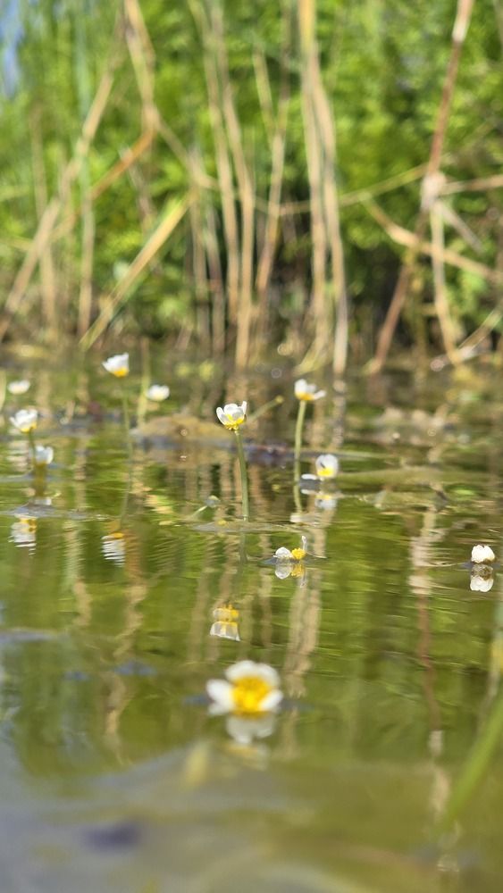 Photograph by Ольга Фомина