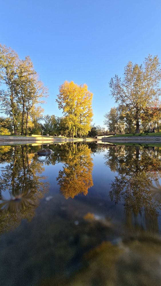 Photograph by Ольга Фомина