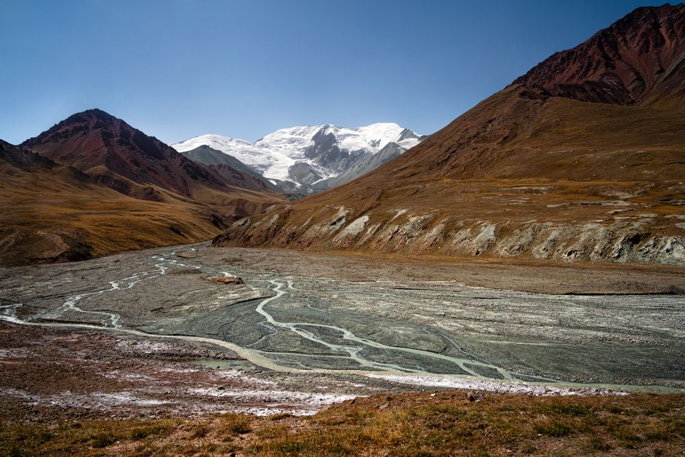 Фотография автора Юлия Есина