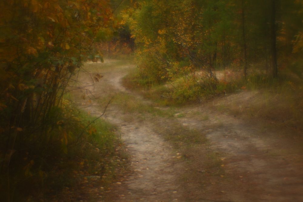 Photograph by Вадим Мадияров