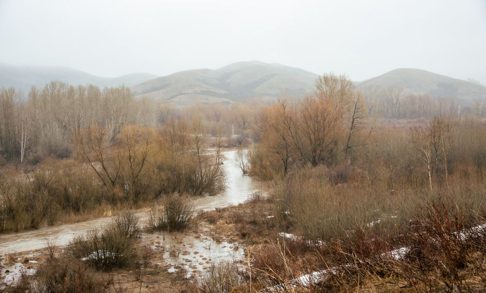 Photograph by Ирина Яук