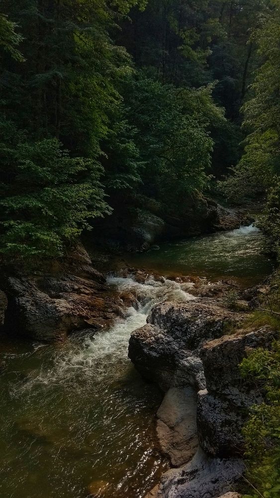 Река Курджипс