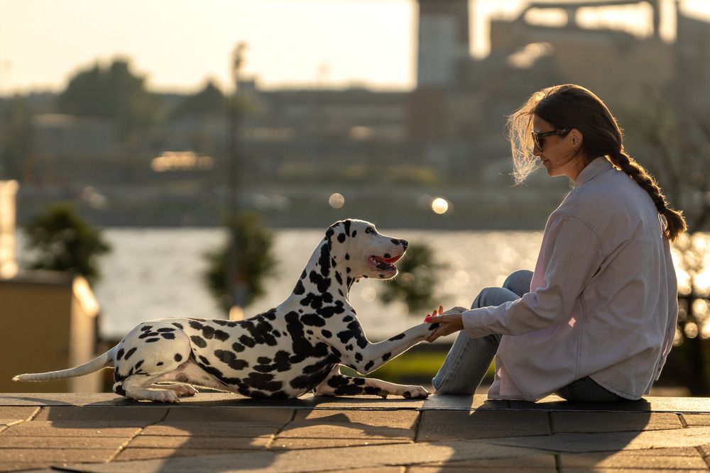 Photograph by Марина Виноградова