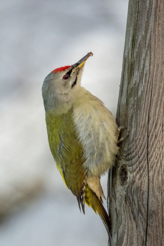 Photograph by АНДРЕЙ АБАКУМОВ