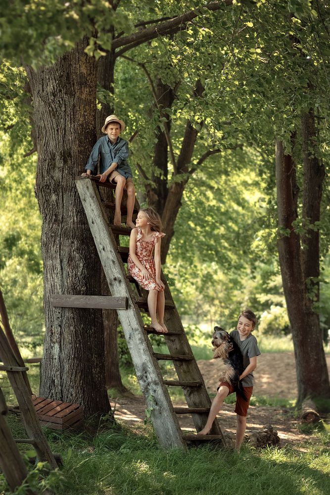 One summer in the garden