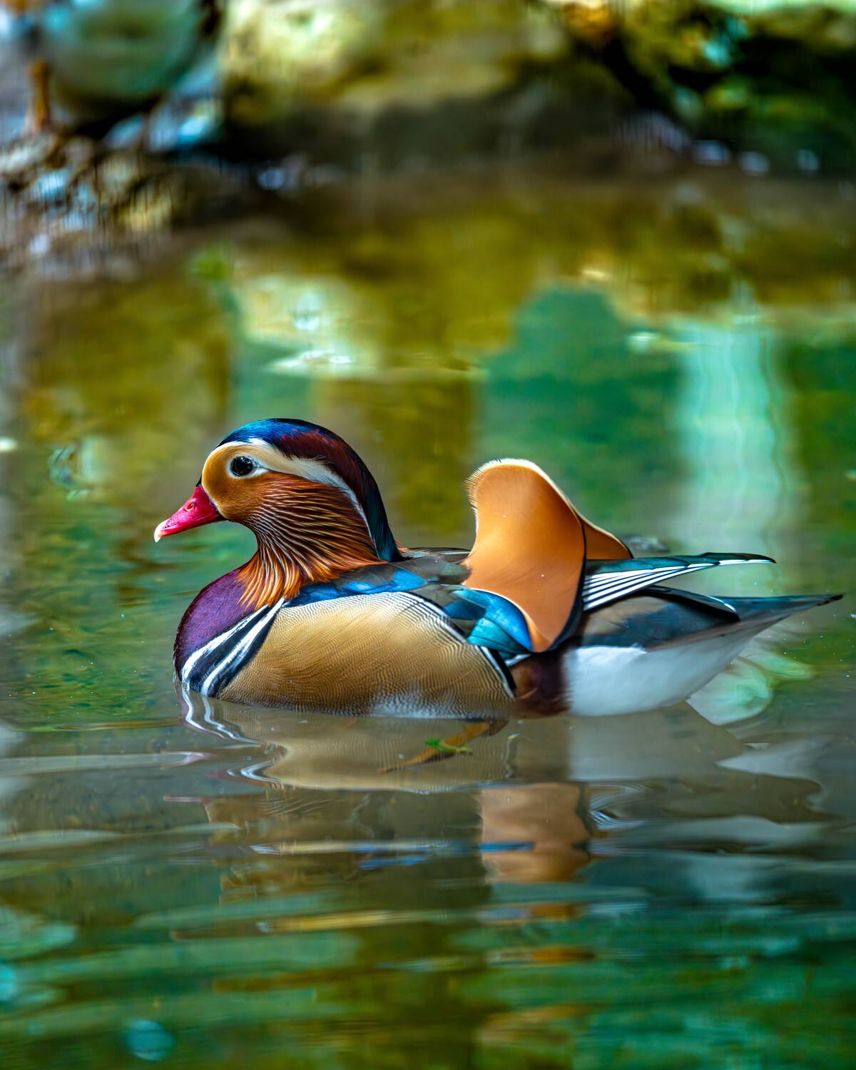 Фотография #13240637