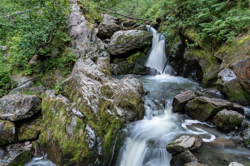 Фотография автора Татьяна