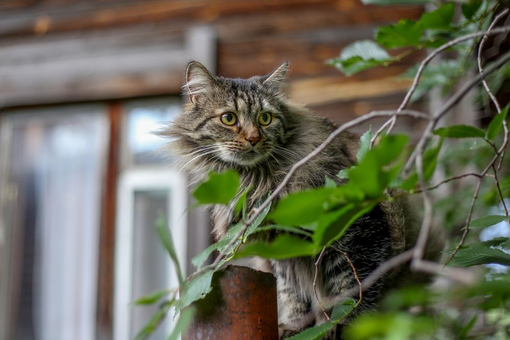 Photograph by Анна