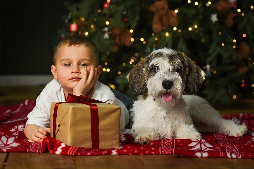 Photograph by Виктория Сафонова