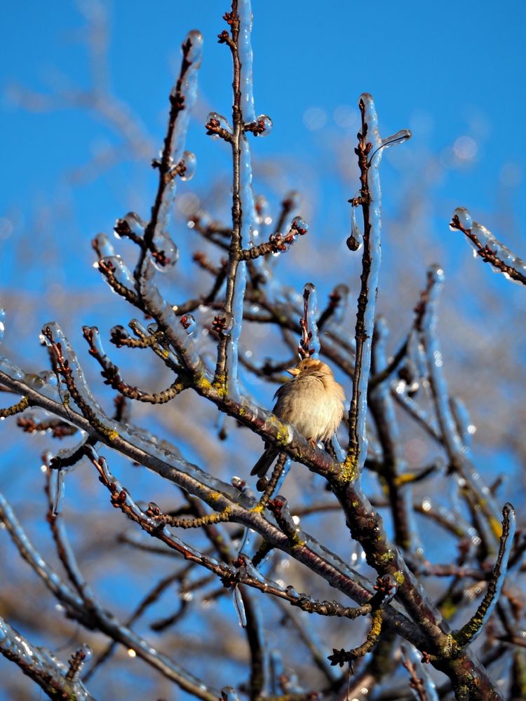 Фотография автора Александра Савельева