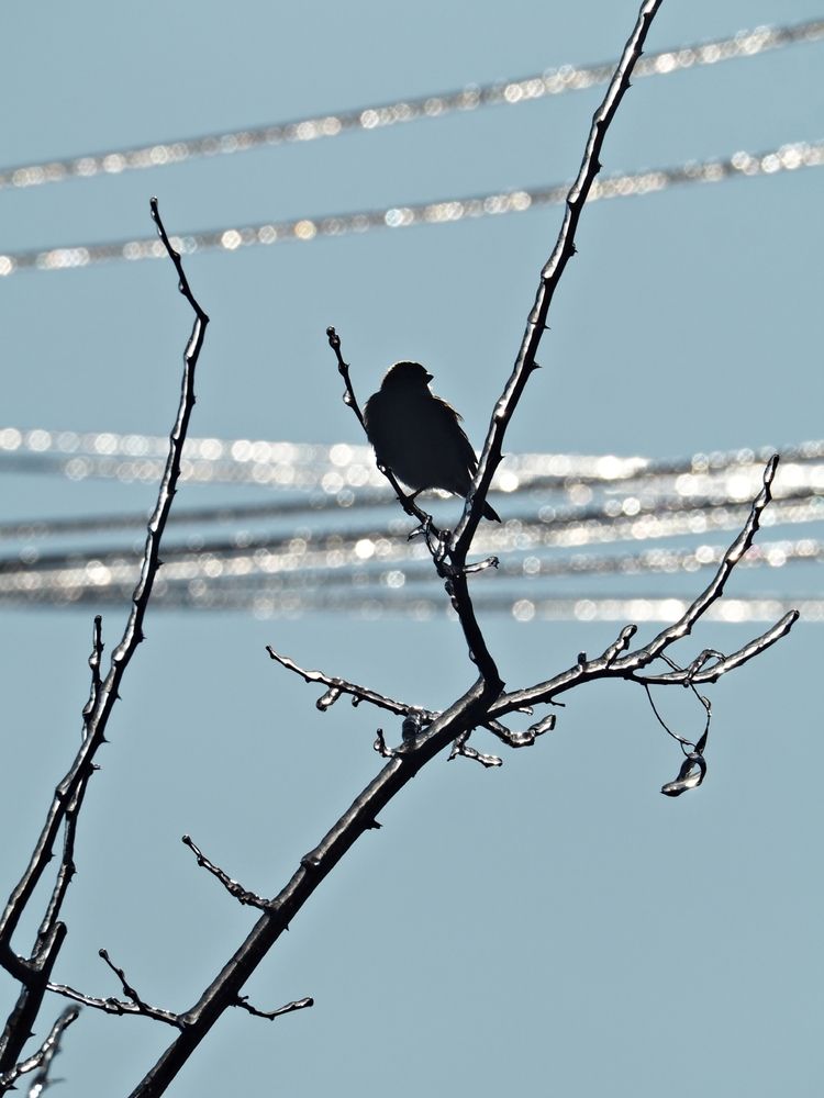 Фотография автора Александра Савельева