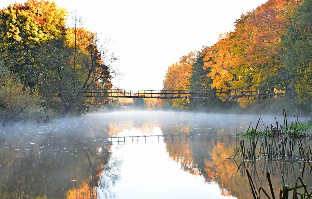 Photograph by Ирина Алексеева