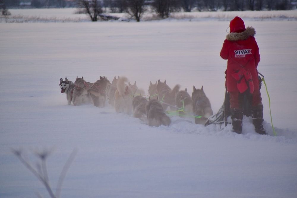 Photograph by Надежда Мякинина