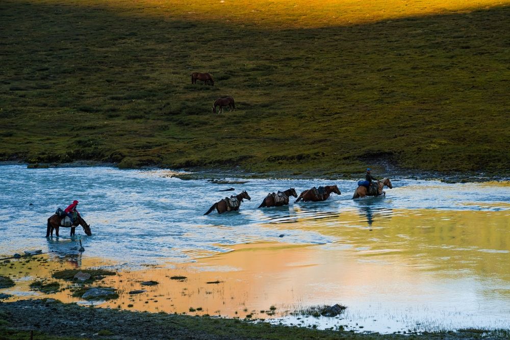 Фотография автора Юлия Есина