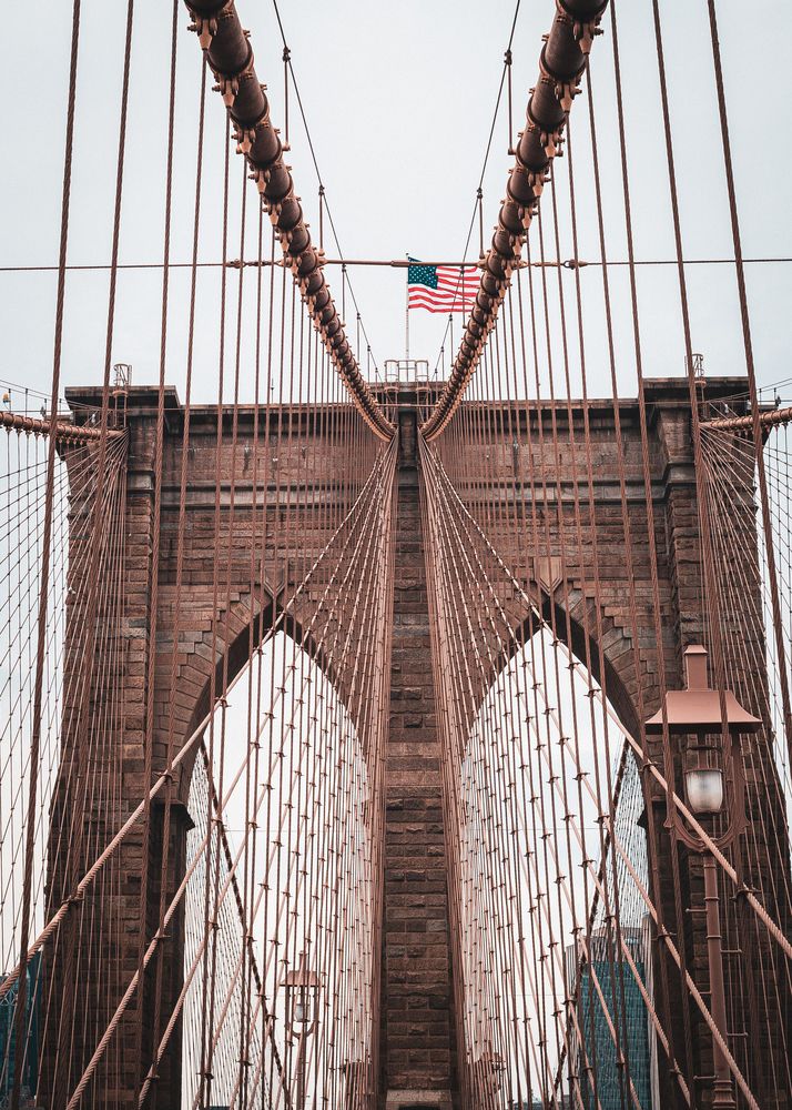 Фотография автора Mateus Campos Felipe