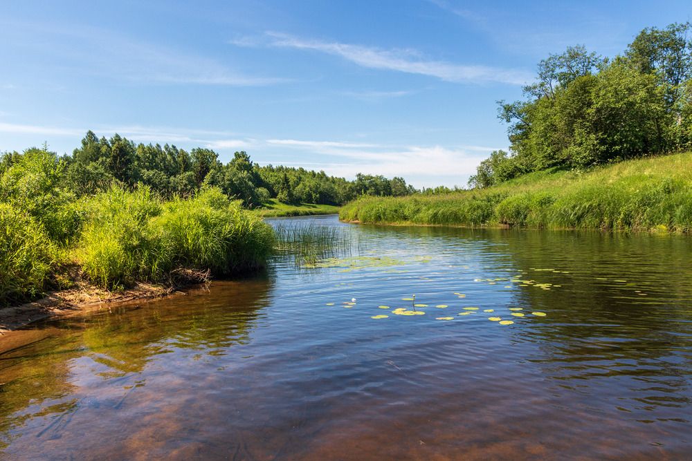 Photograph by Анатолий Чесноков