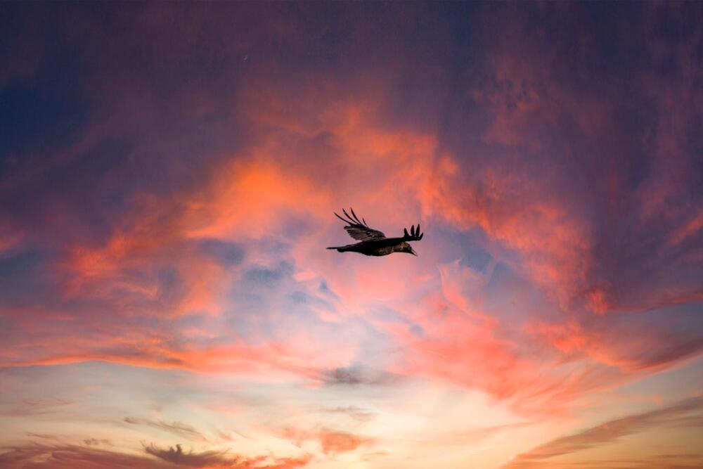 Photograph by Алина Азева