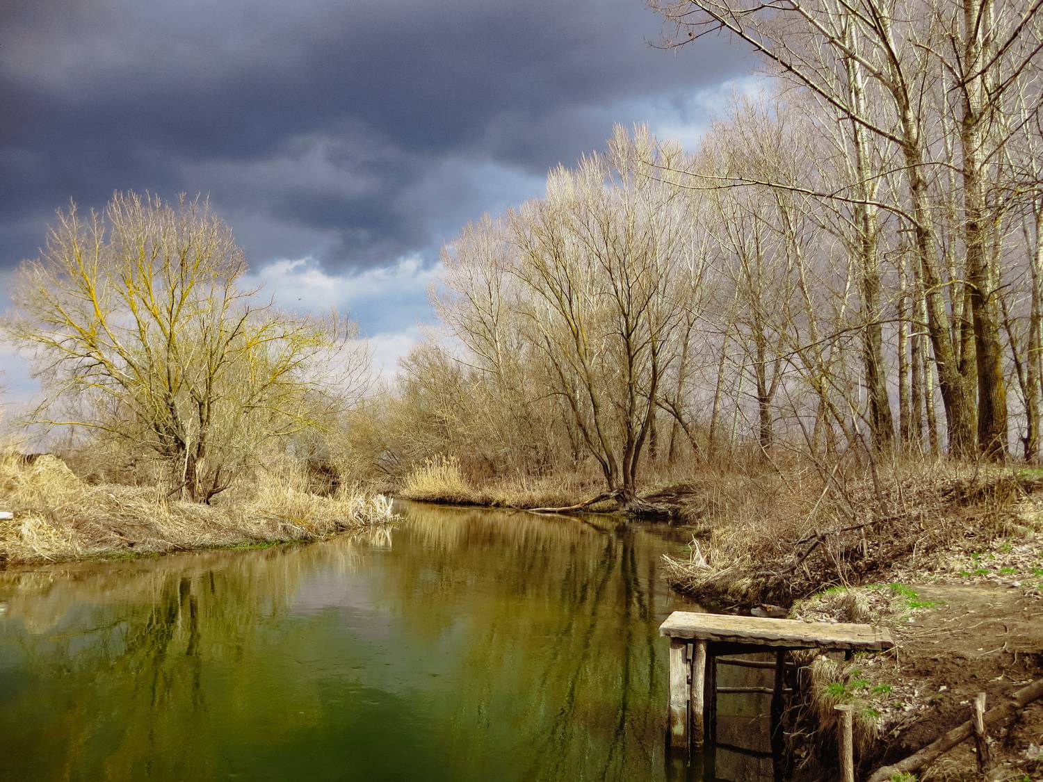 Фотография #13240950