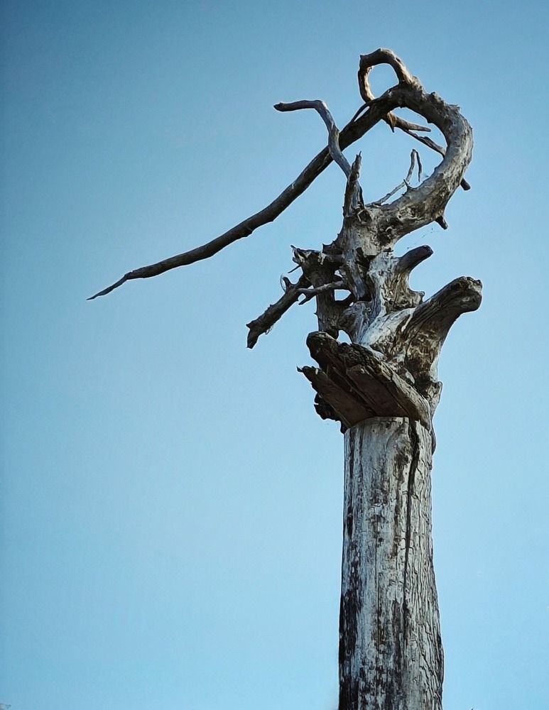 Photograph by Елена