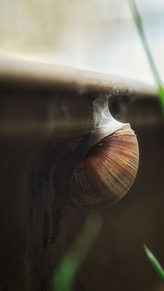 Photograph by Андрей