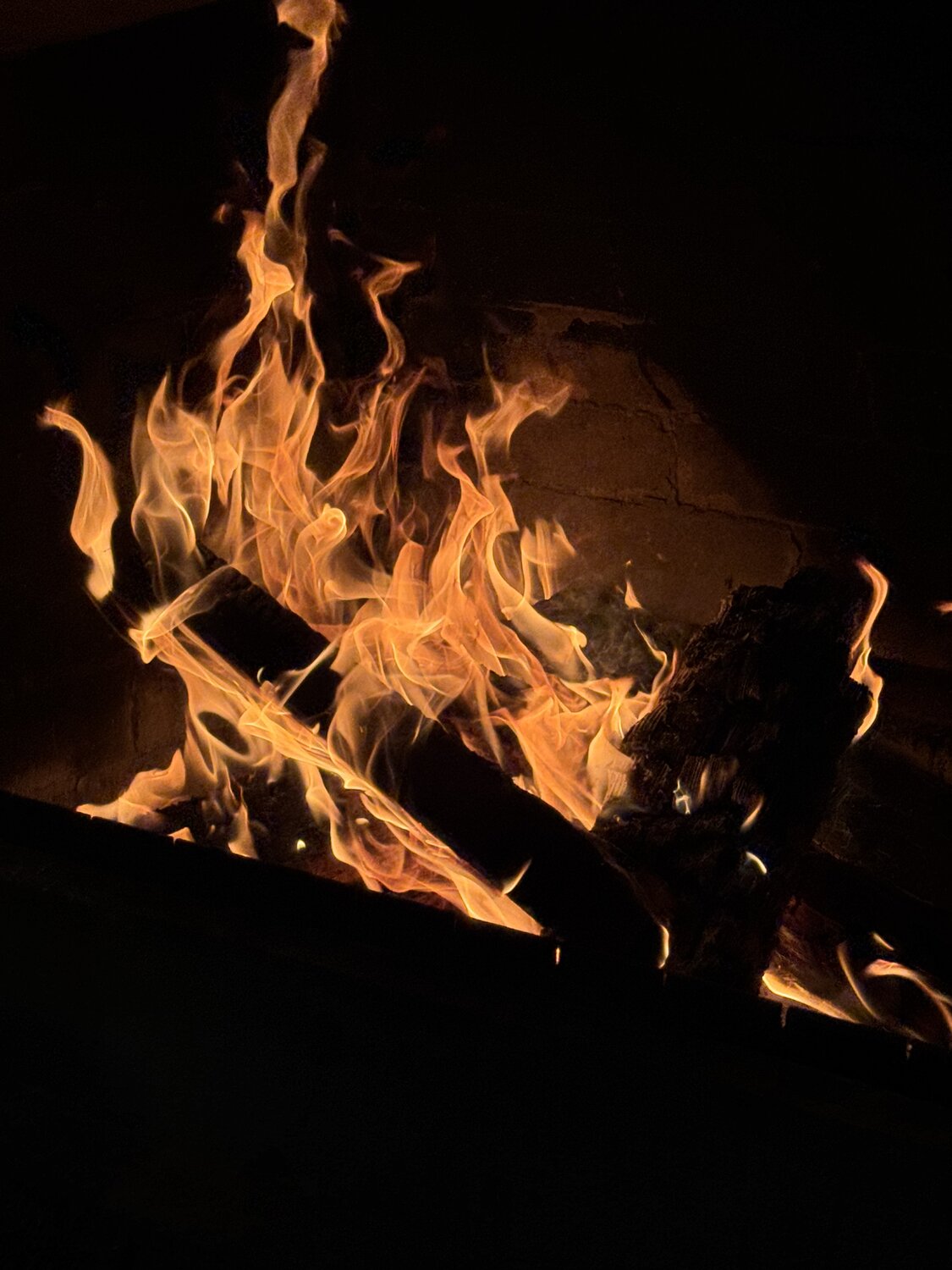 Photo #13241019