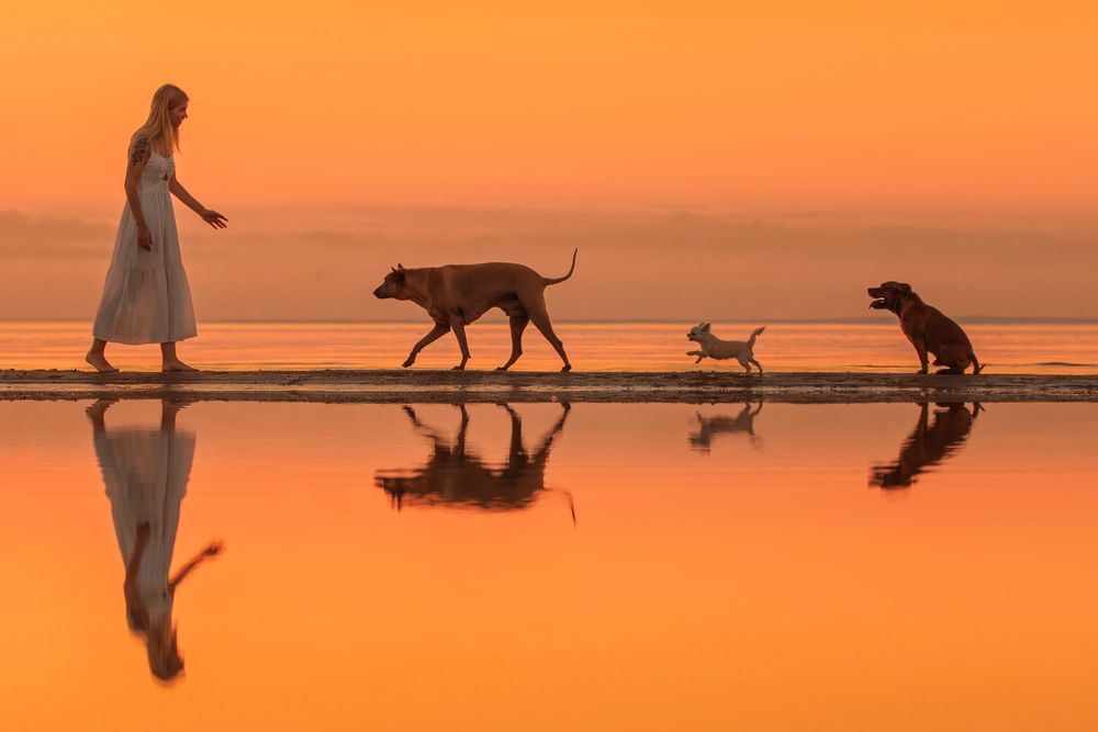 Photograph by Зубкова Юлия
