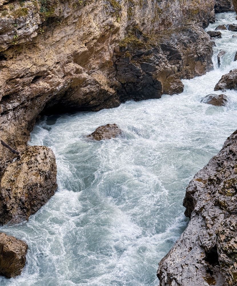 Photograph by Полина Галянина