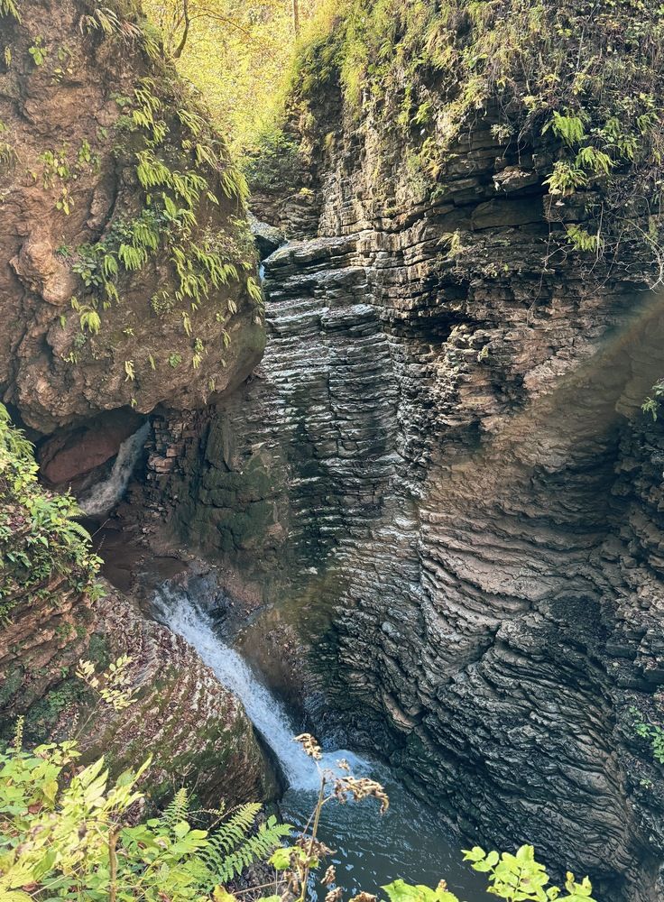 Photograph by Полина Галянина