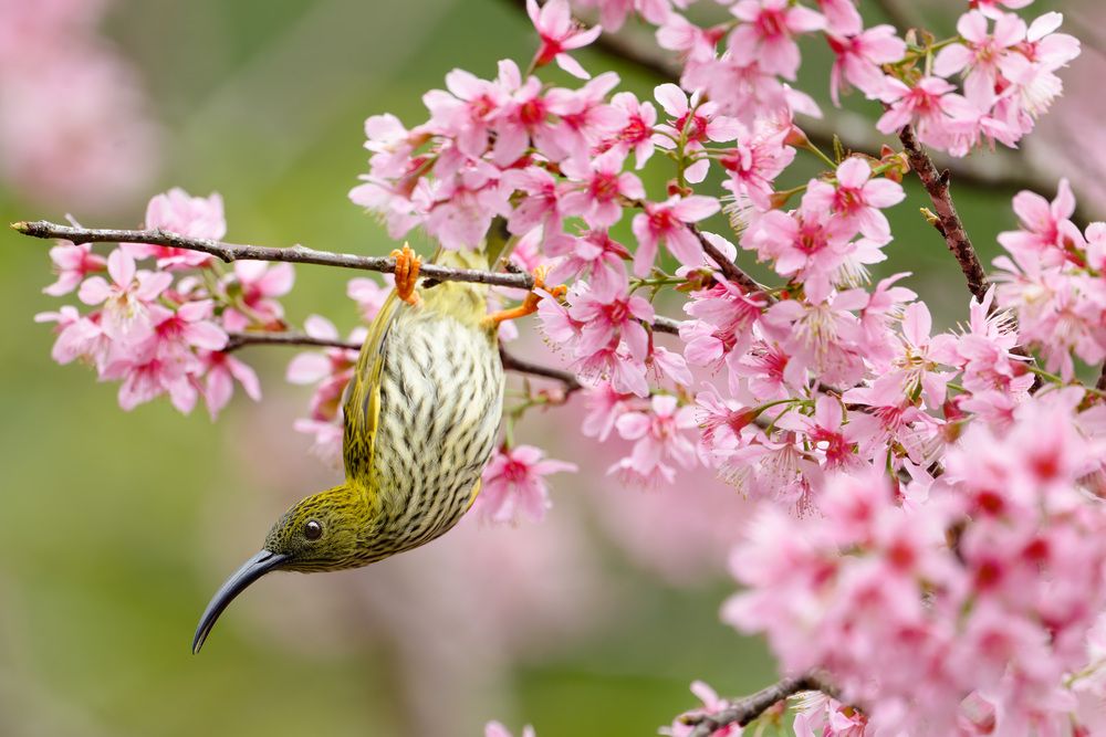 Photograph by Leo Ngo