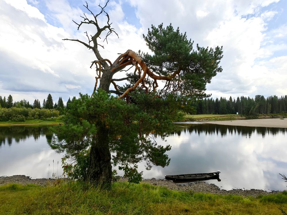 Photograph by OLGA MIKHNEVICH