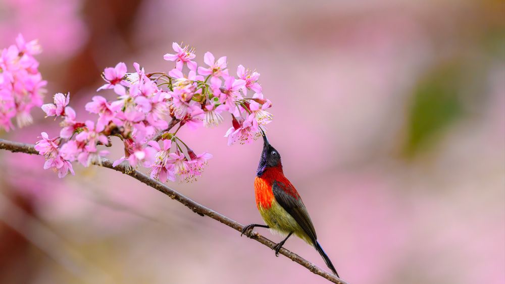 Photograph by Leo Ngo